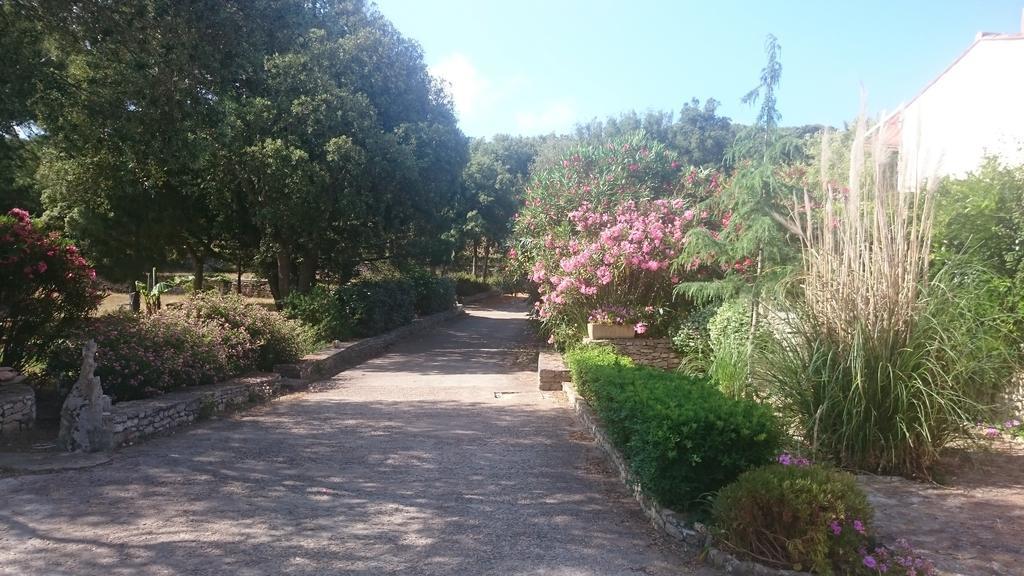 Domaine De Foresta Bonifacio  Εξωτερικό φωτογραφία